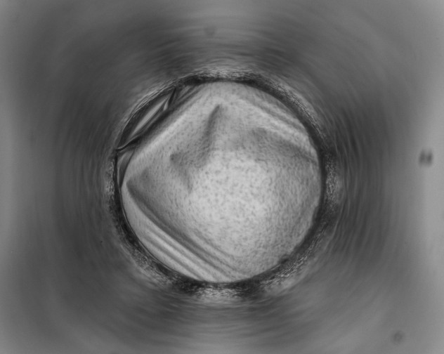 X0000098010403200804181141