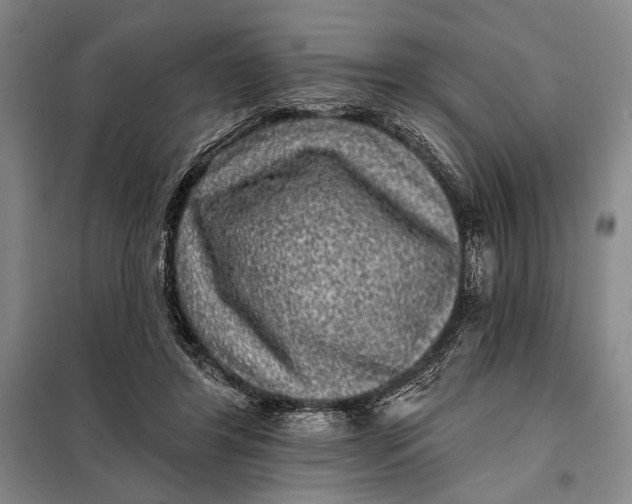 X0000098010404200804181141