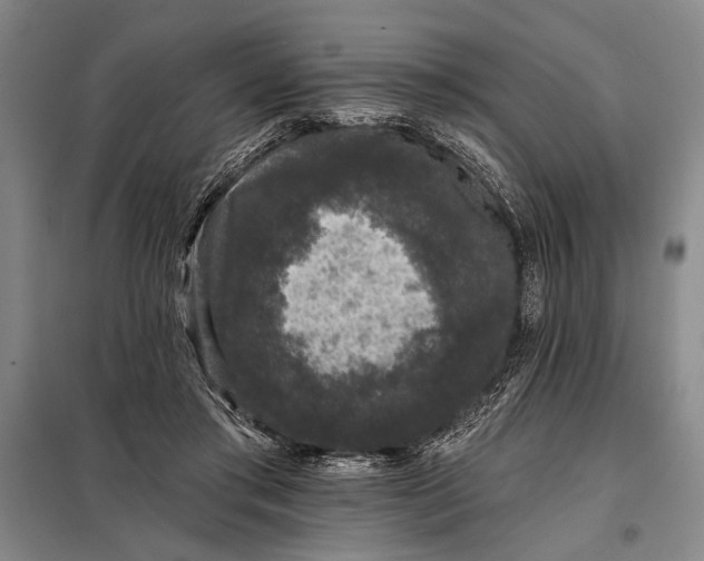 X0000098010405200804181141