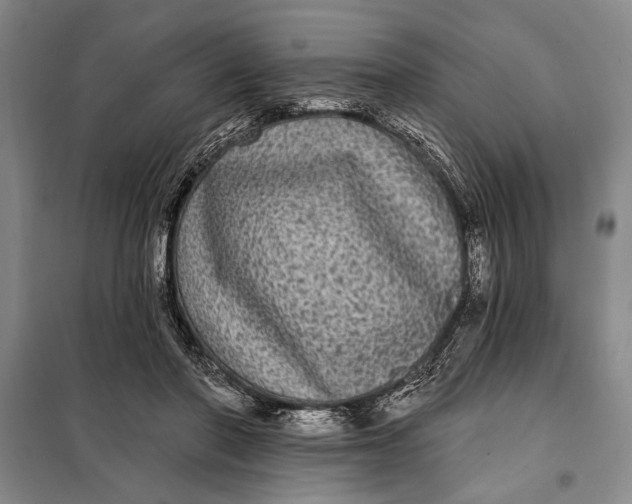 X0000098010406200804181141