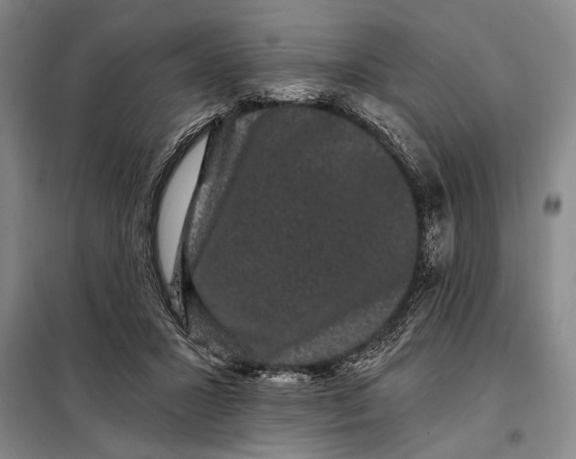 X0000098010407200804181141