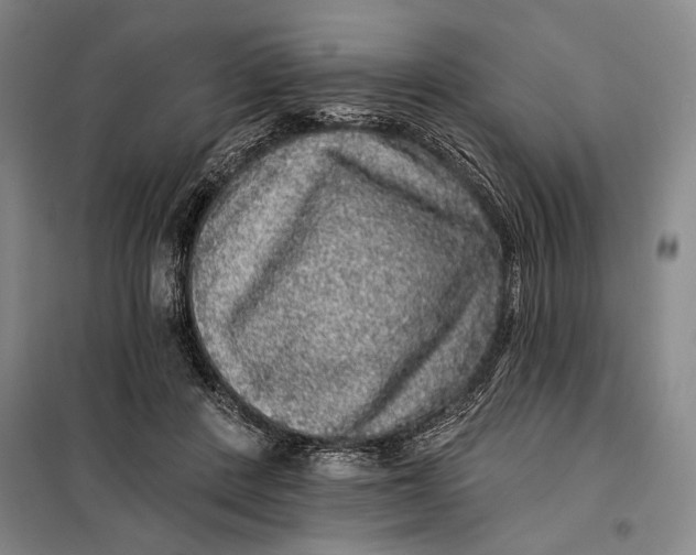 X0000098010408200804181141