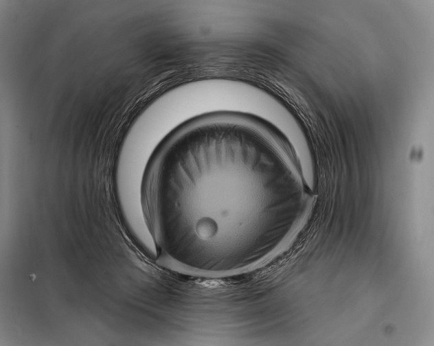 X0000098010409200804181141