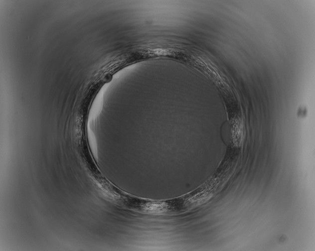 X0000098010410200804181141