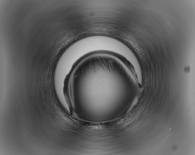 X0000098010411200804181141