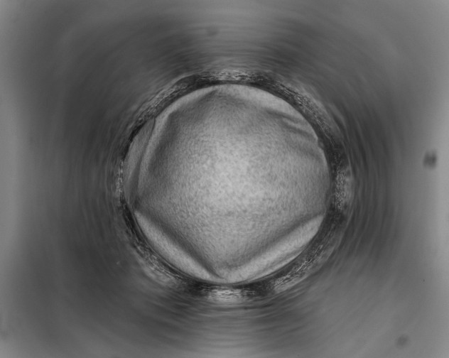 X0000098010413200804181140