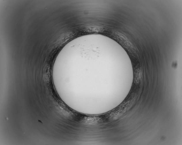 X0000098010414200804181140