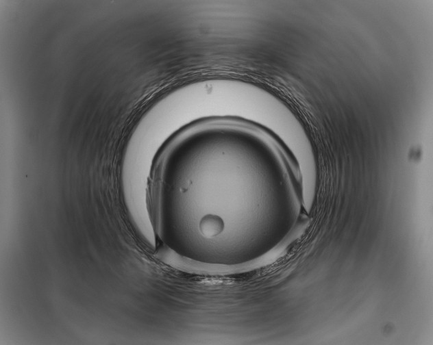 X0000098010415200804181140