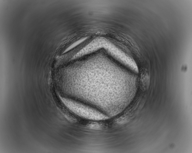 X0000098010416200804181140