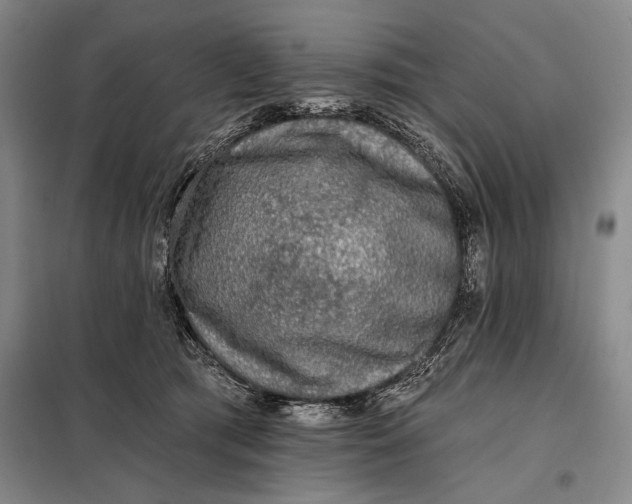 X0000098010417200804181140