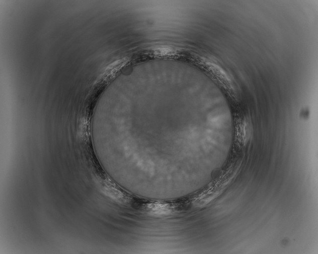 X0000098010419200804181140