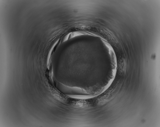 X0000098010420200804181140