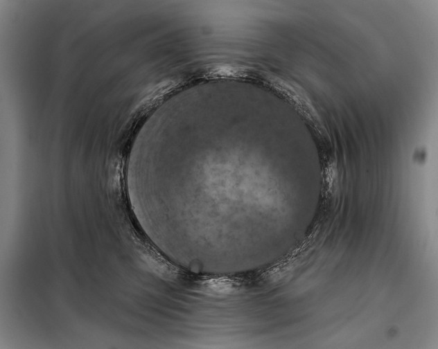 X0000098010423200804181140