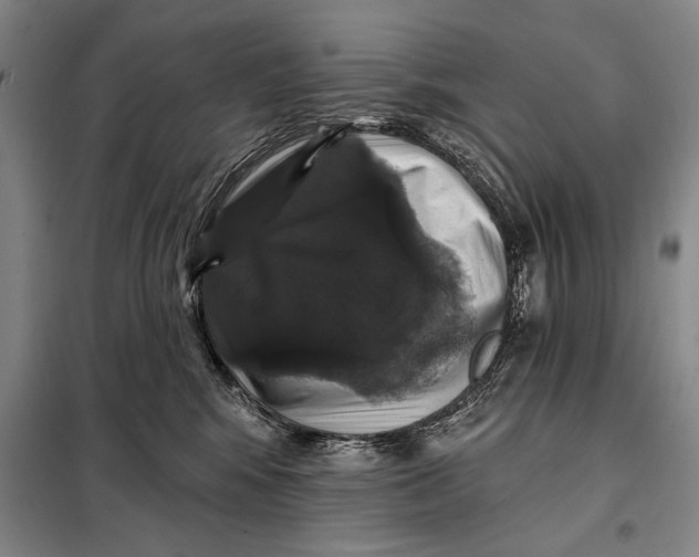 X0000098010424200804181140