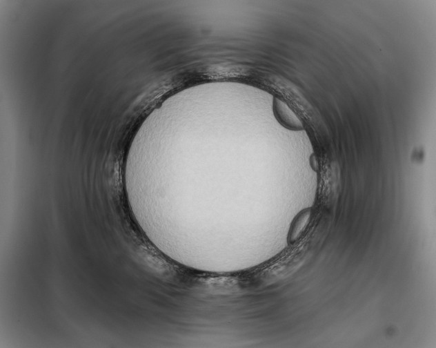 X0000098010426200804181140