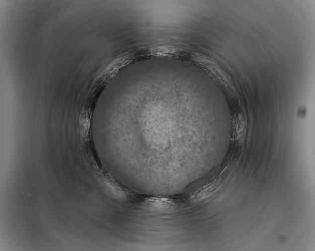 X0000098010427200804181140