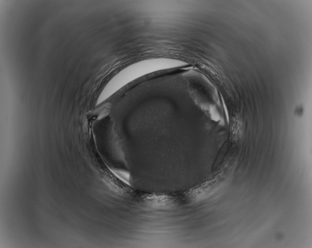 X0000098010428200804181140