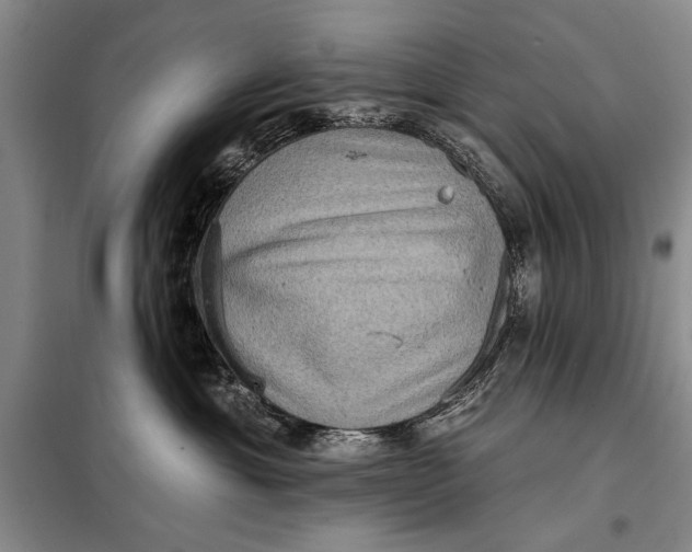 X0000098010429200804181140