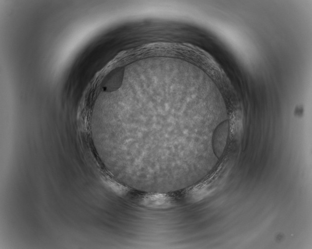 X0000098010431200804181140