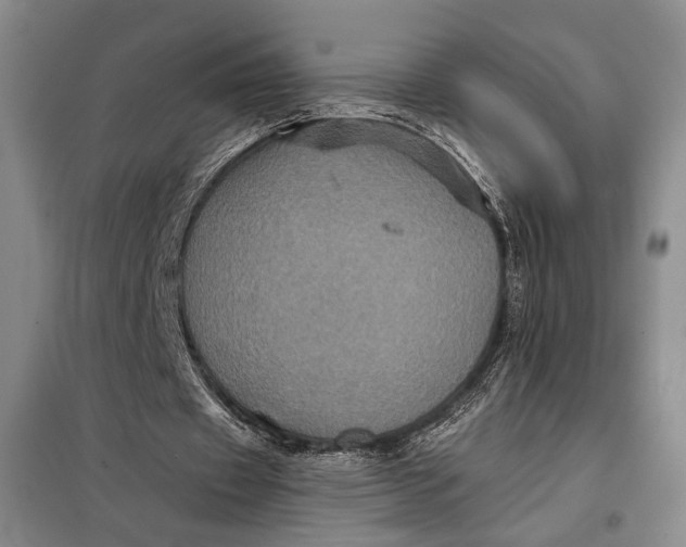 X0000098010433200804181139