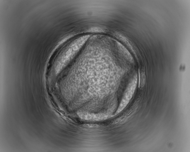 X0000098010435200804181139