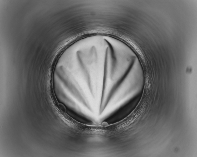 X0000098010437200804181139