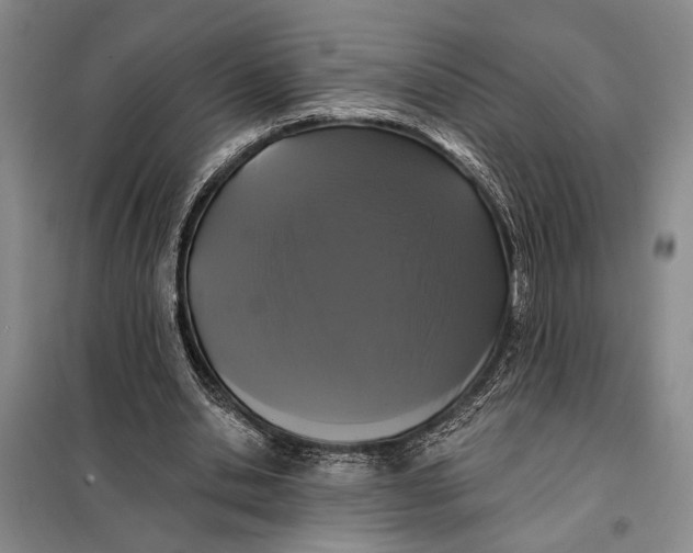 X0000098010438200804181139