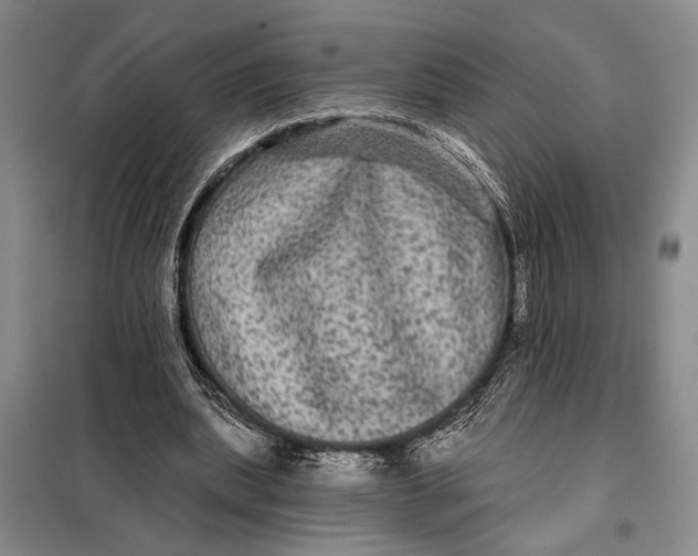 X0000098010439200804181139