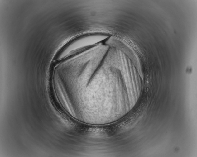 X0000098010440200804181139