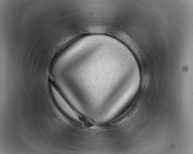 X0000098010441200804181139