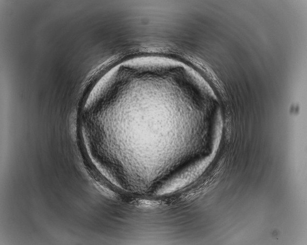 X0000098010442200804181139