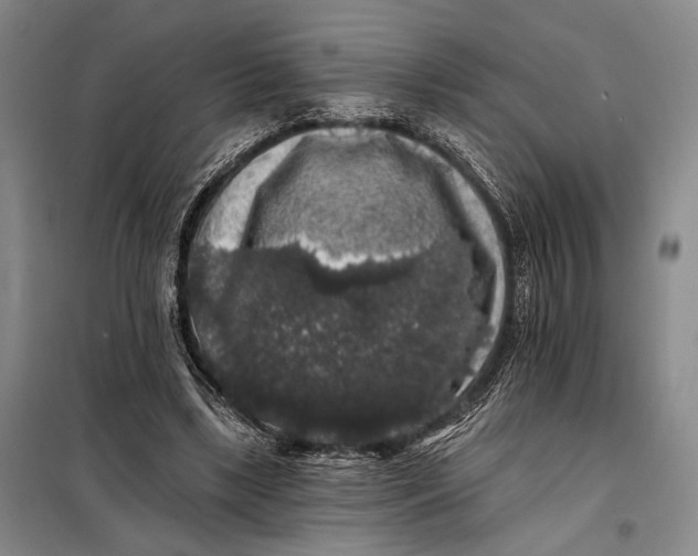 X0000098010443200804181139