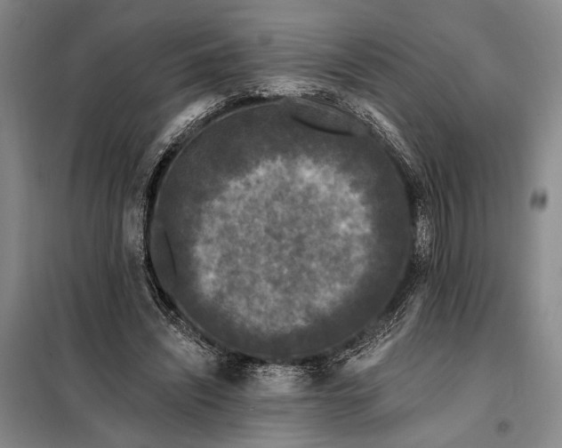 X0000098010444200804181139