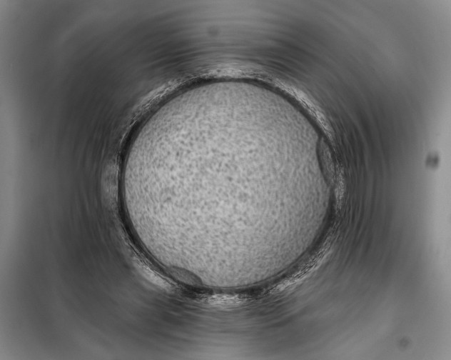 X0000098010445200804181139