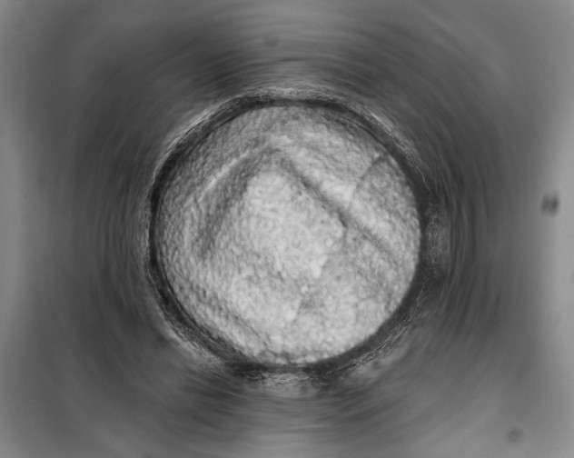 X0000098010446200804181139