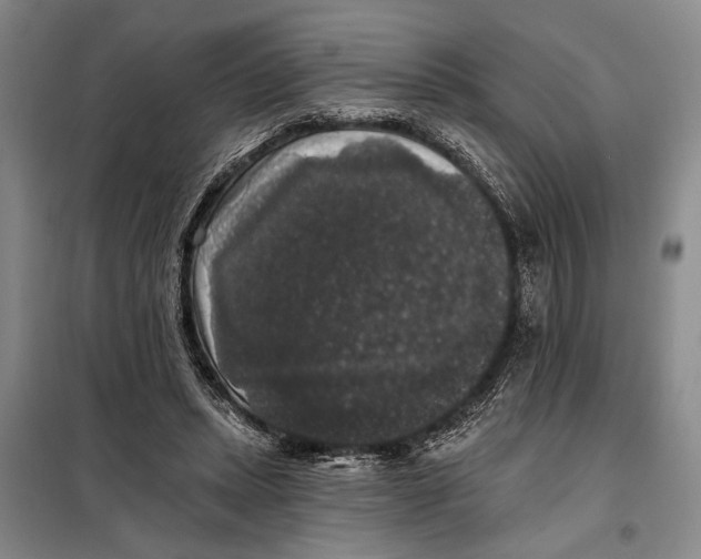 X0000098010447200804181139