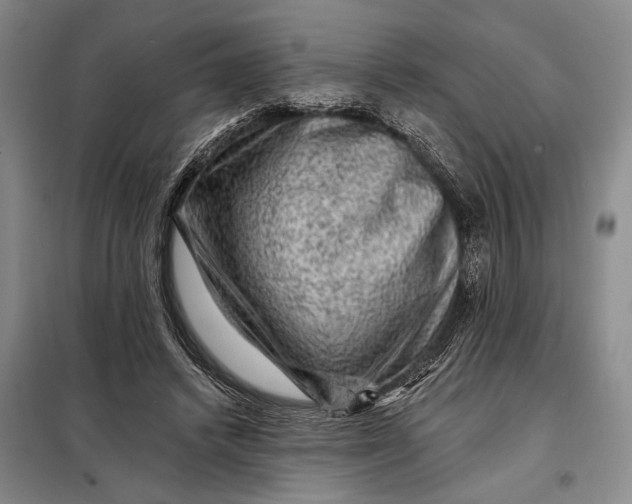 X0000098010448200804181139