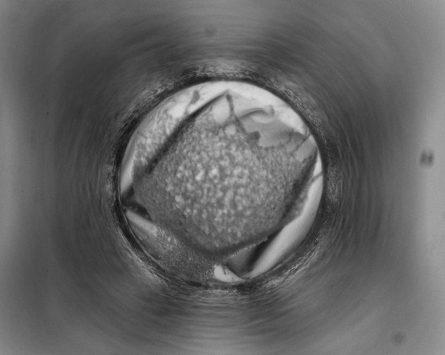 X0000098010449200804181139