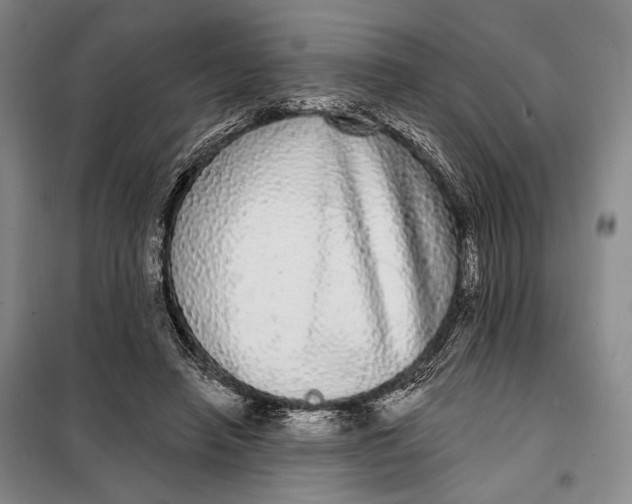 X0000098010450200804181139