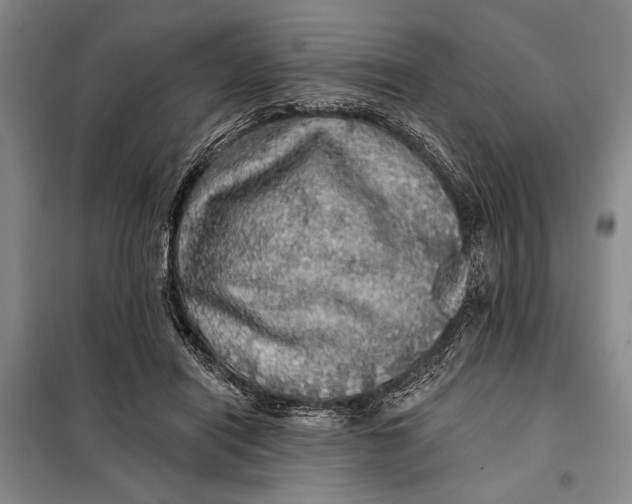 X0000098010454200804181140