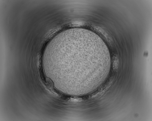 X0000098010455200804181140