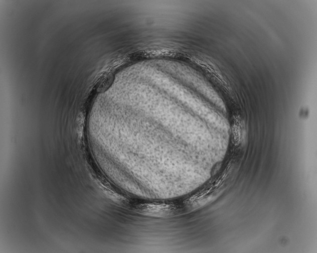 X0000098010458200804181140