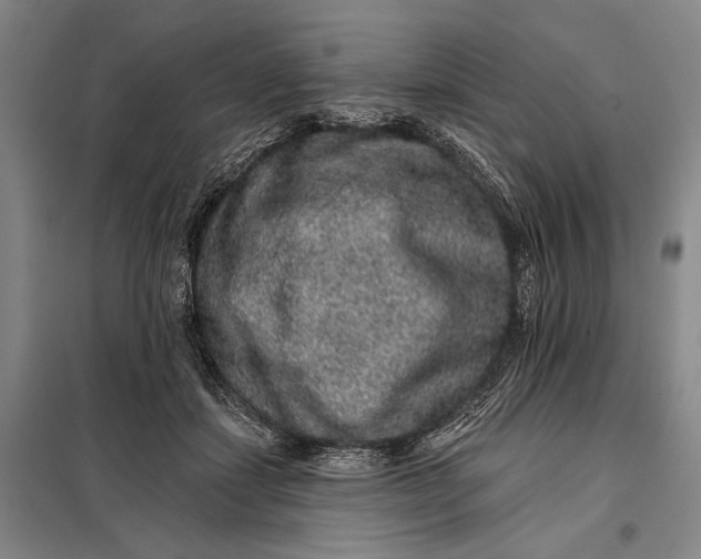 X0000098010459200804181140