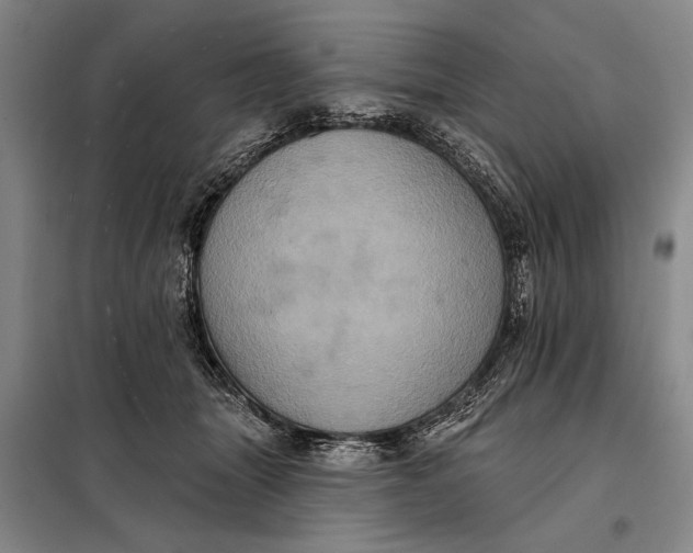 X0000098010463200804181140