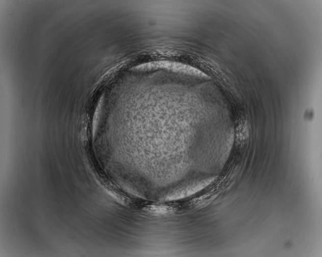 X0000098010464200804181140