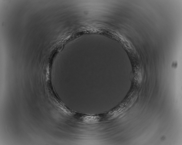 X0000098010465200804181140