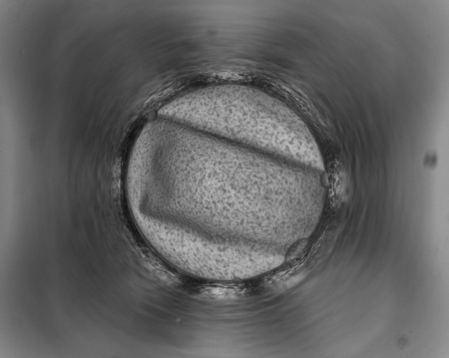 X0000098010466200804181140