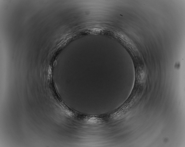 X0000098010467200804181140