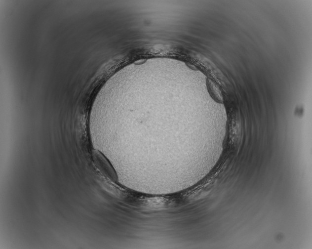 X0000098010473200804181140