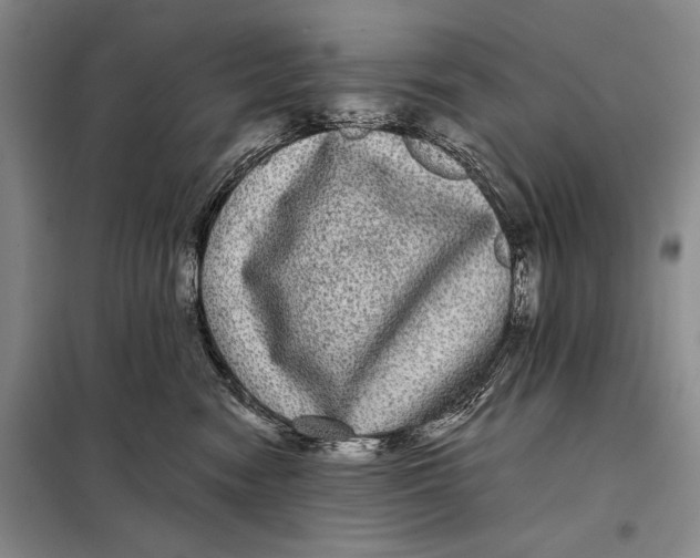 X0000098010474200804181140